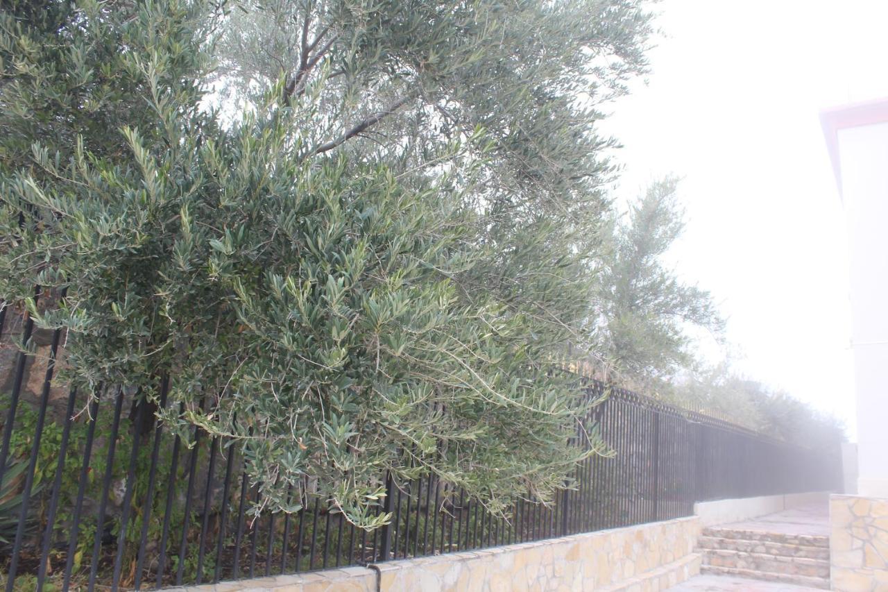 Asas Al Jabal Al Akhdar Apartments شقق أساس الجبل الأخضر Sayq Экстерьер фото
